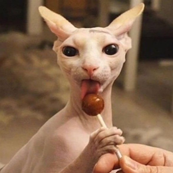 Аватара пользователя